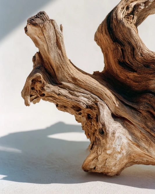 Blonde Woods + Cashmere Candle